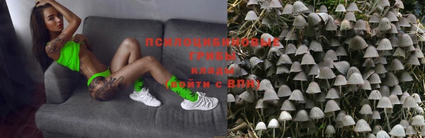 амф Абаза