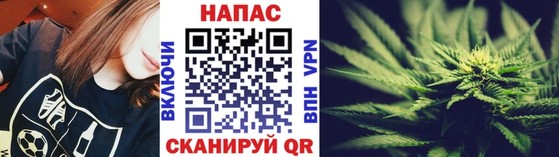 Шишки марихуана конопля Абаза